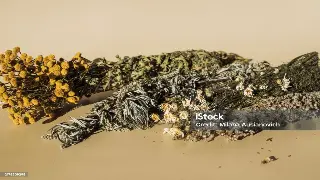 宁波老司机带你深度解析按摩文化与特色桑拿体验的避坑指南 海报