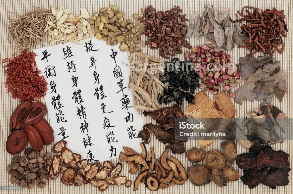 休闲会所体验